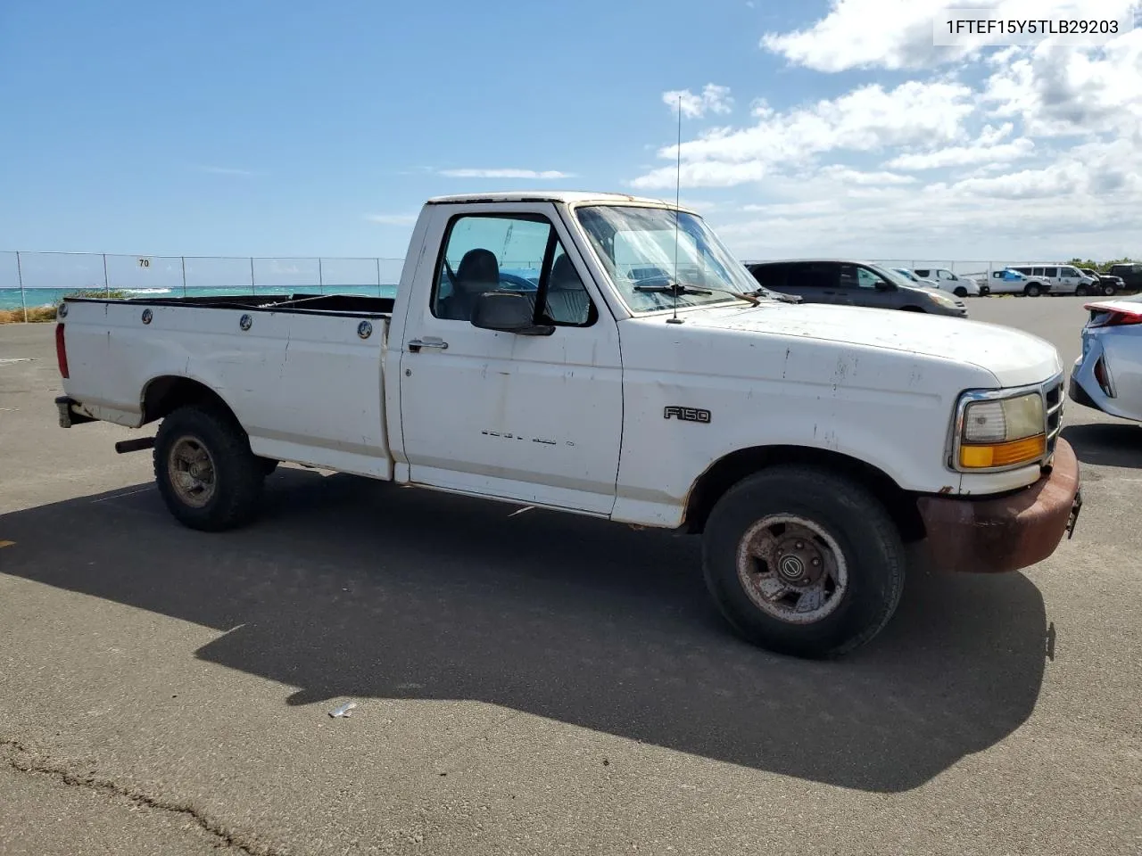 1996 Ford F150 VIN: 1FTEF15Y5TLB29203 Lot: 65862344