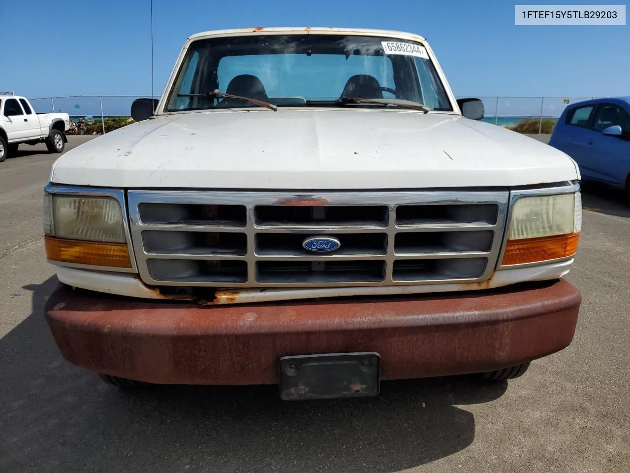 1996 Ford F150 VIN: 1FTEF15Y5TLB29203 Lot: 65862344