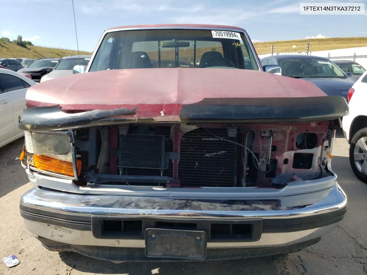 1FTEX14N3TKA37212 1996 Ford F150