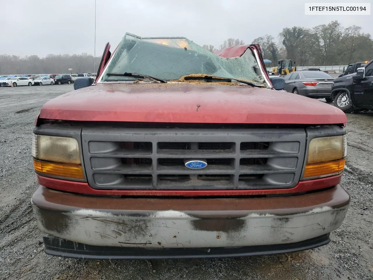 1996 Ford F150 VIN: 1FTEF15N5TLC00194 Lot: 79258964