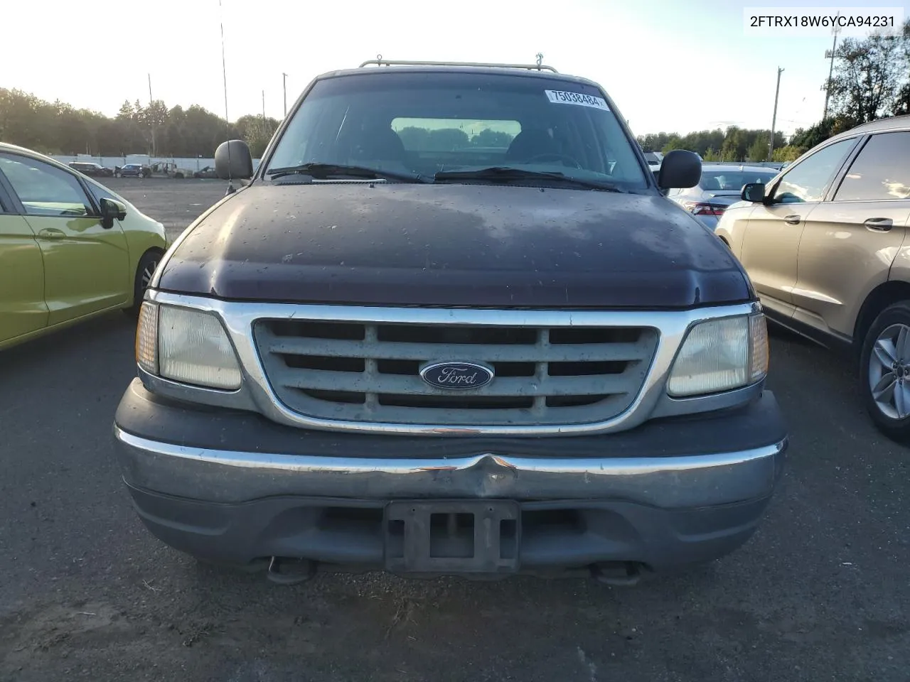 2000 Ford F150 VIN: 2FTRX18W6YCA94231 Lot: 75038484