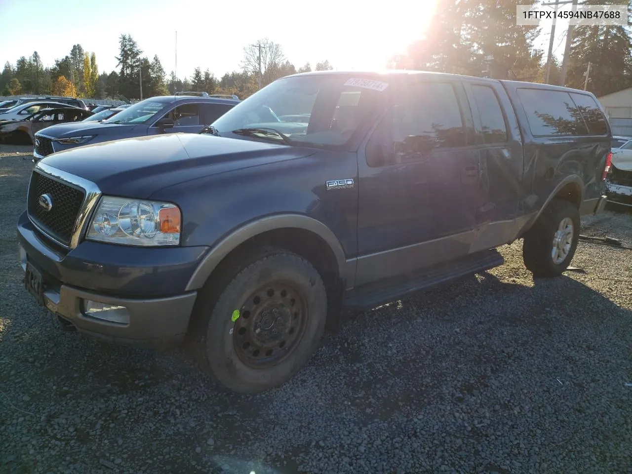 2004 Ford F150 VIN: 1FTPX14594NB47688 Lot: 79750714