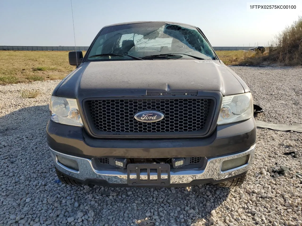 2005 Ford F150 VIN: 1FTPX02575KC00100 Lot: 75276604