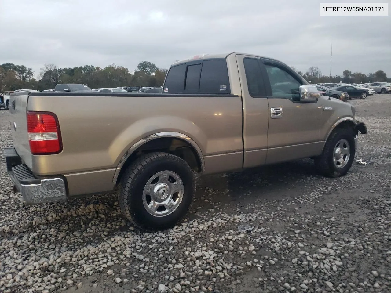 2005 Ford F150 VIN: 1FTRF12W65NA01371 Lot: 79054454