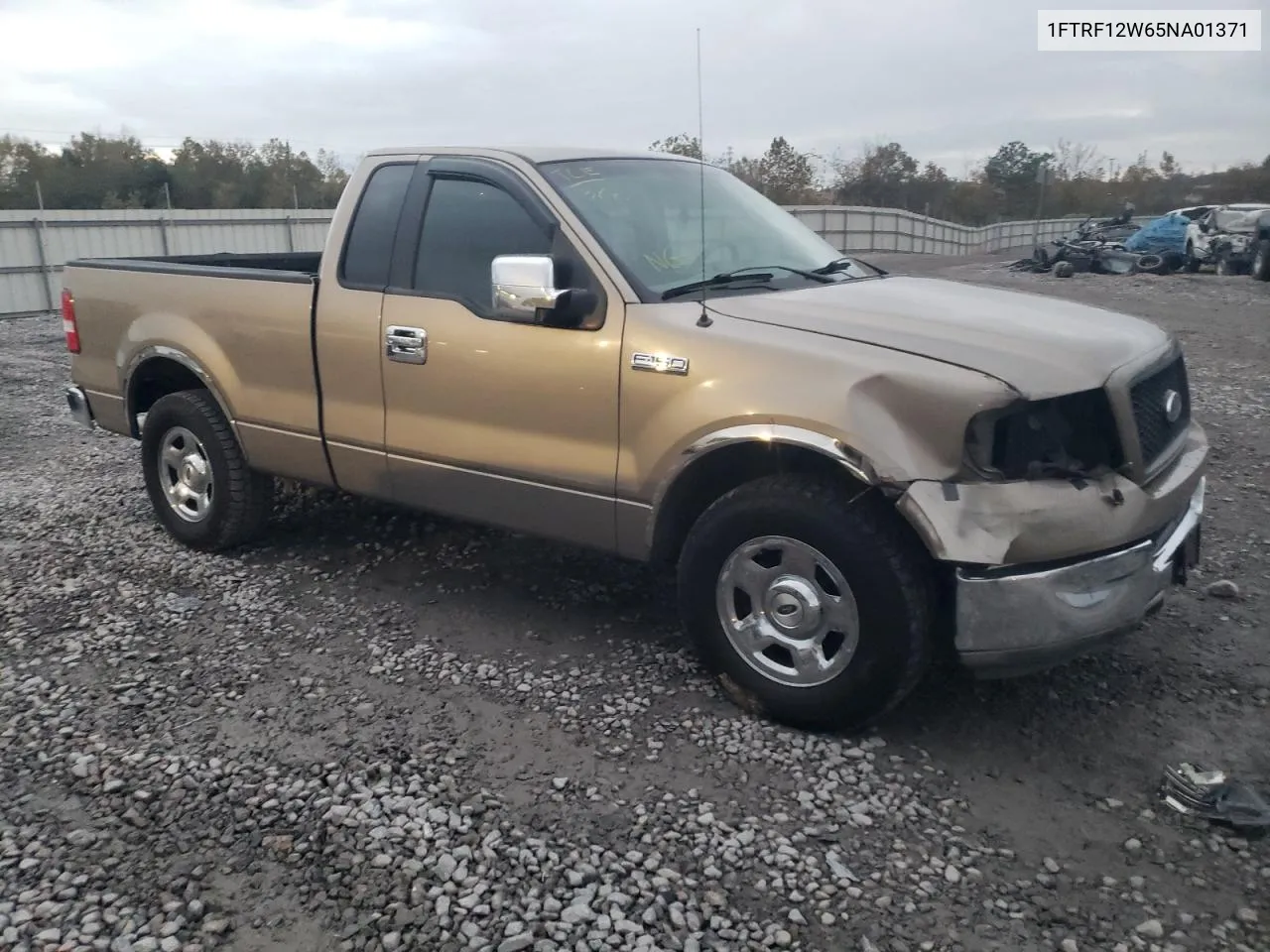 2005 Ford F150 VIN: 1FTRF12W65NA01371 Lot: 79054454