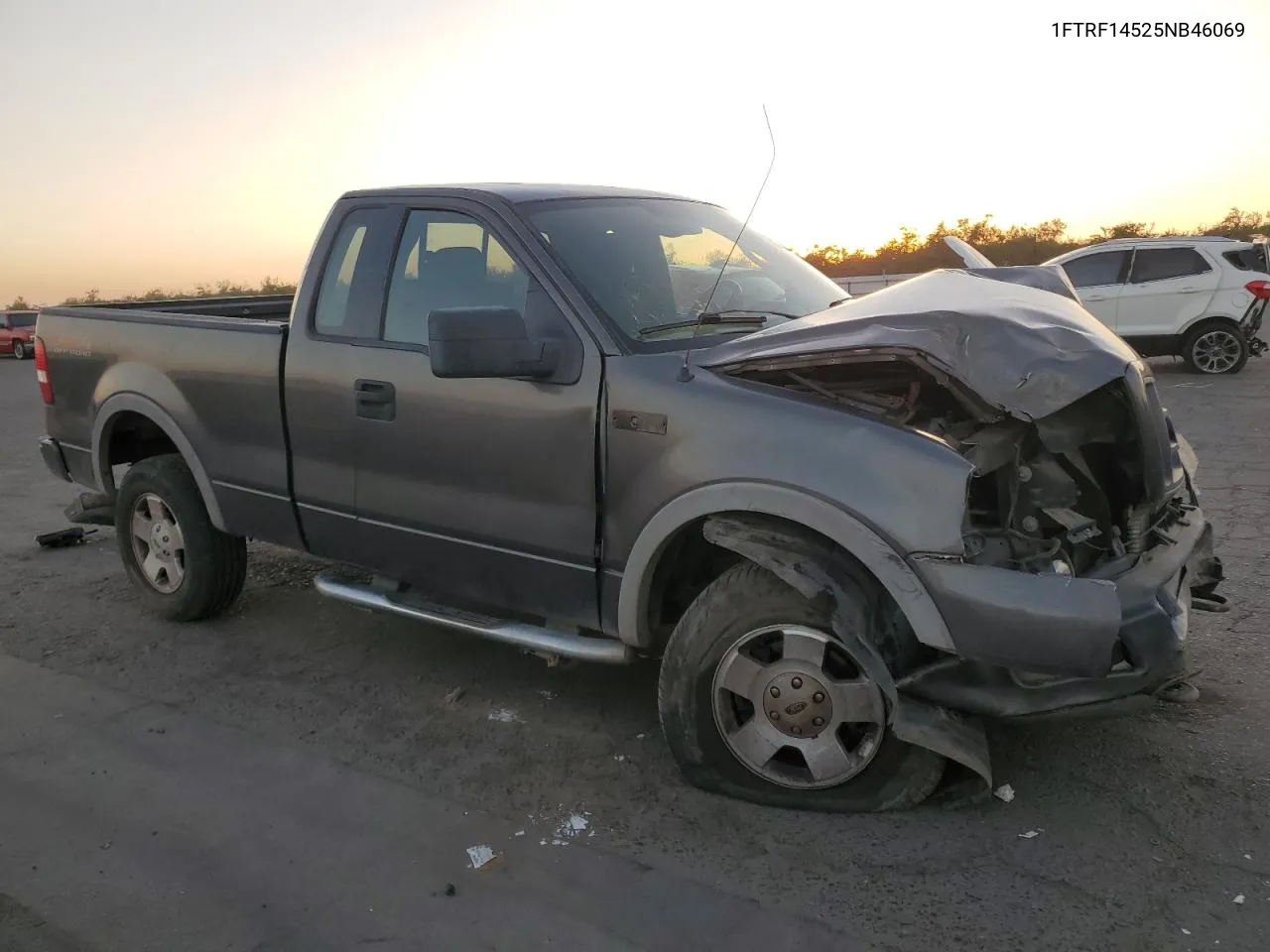 2005 Ford F150 VIN: 1FTRF14525NB46069 Lot: 79868054