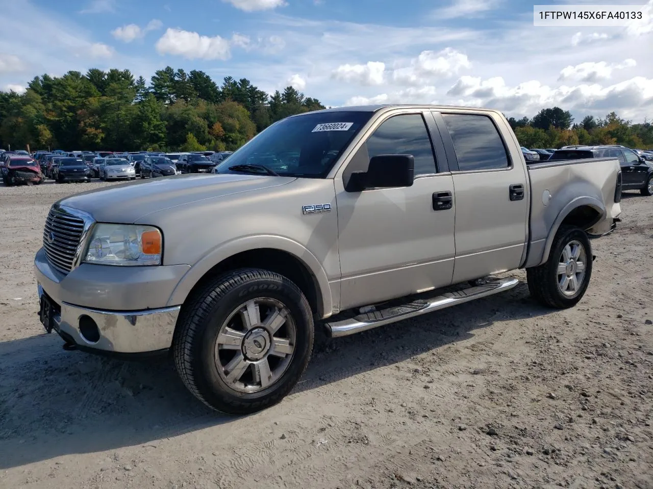 2006 Ford F150 Supercrew VIN: 1FTPW145X6FA40133 Lot: 73660024