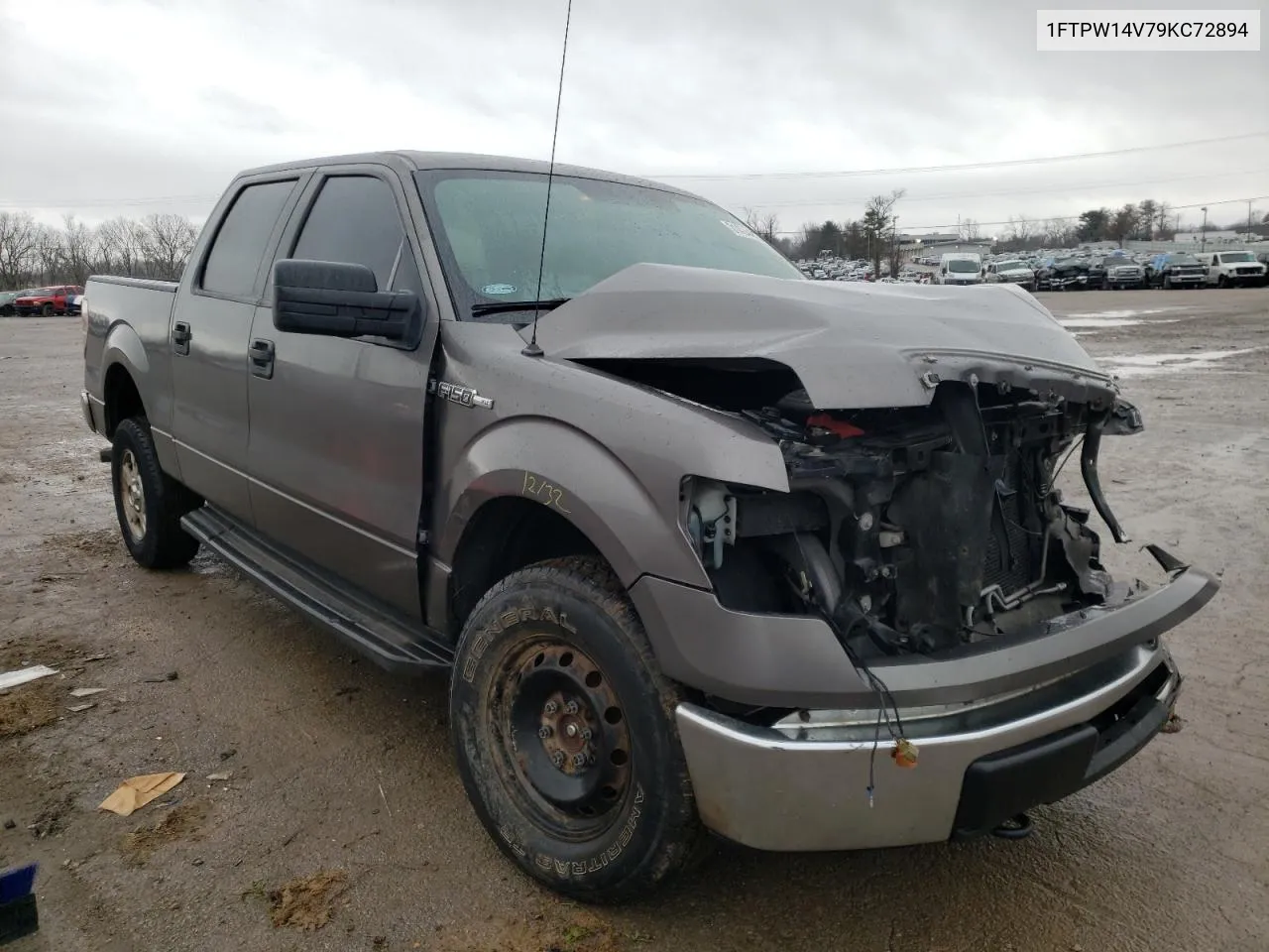 2009 Ford F150 Supercrew VIN: 1FTPW14V79KC72894 Lot: 31424462