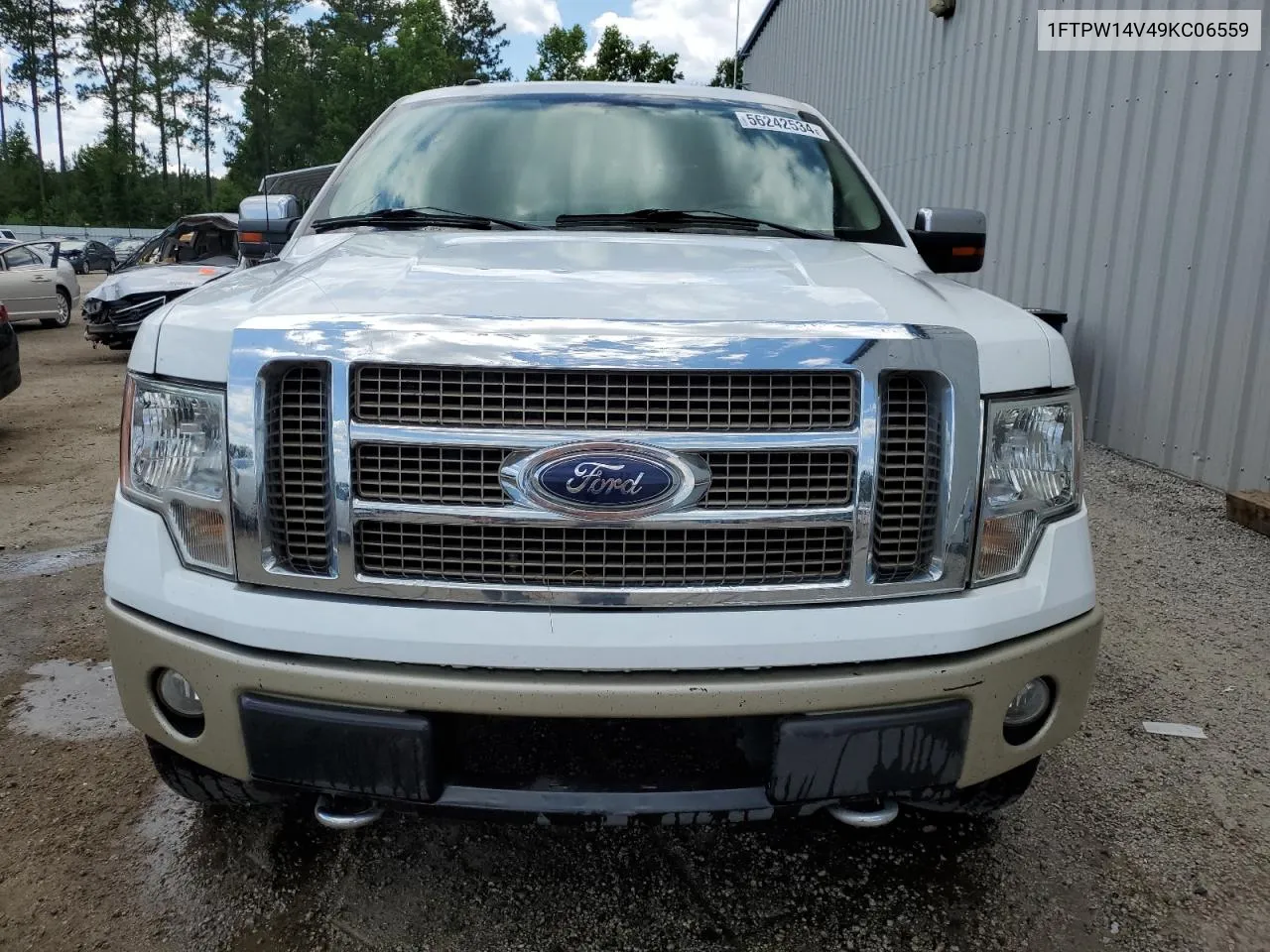 1FTPW14V49KC06559 2009 Ford F150 Supercrew