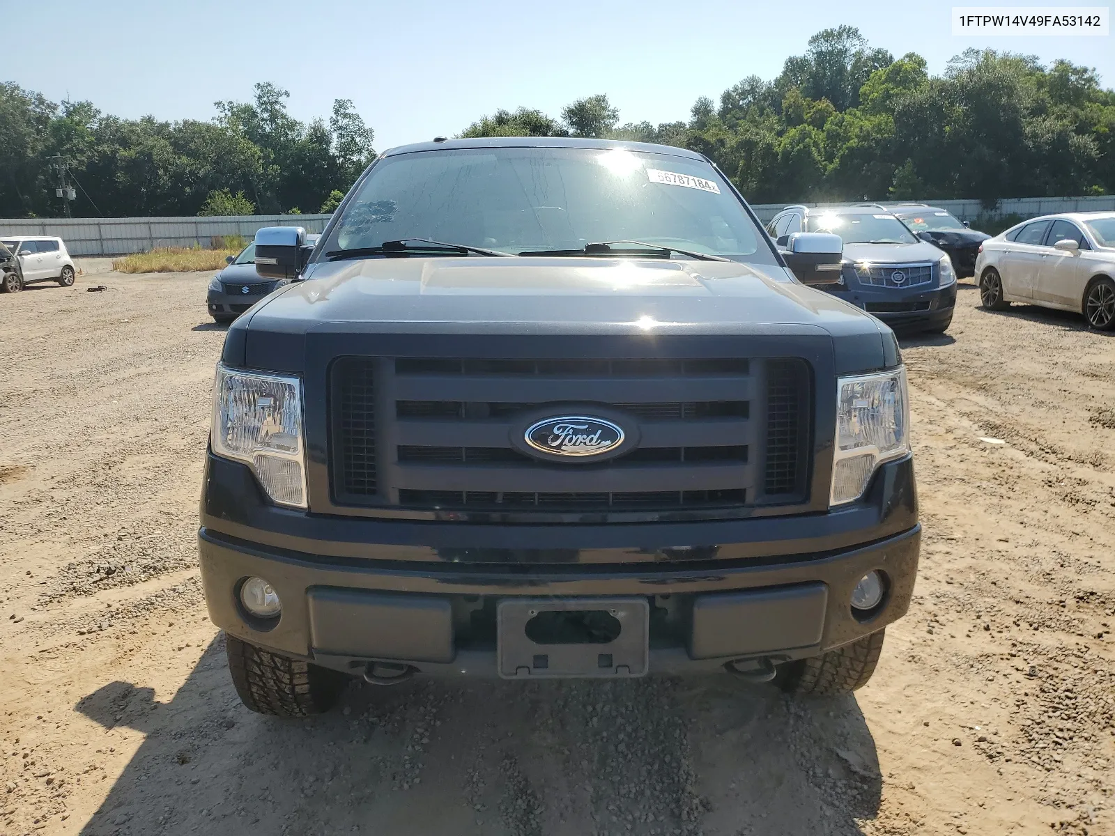 2009 Ford F150 Supercrew VIN: 1FTPW14V49FA53142 Lot: 66787184