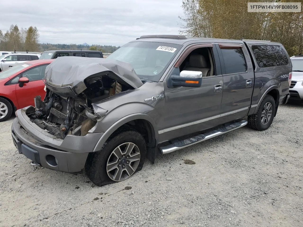 2009 Ford F150 Supercrew VIN: 1FTPW14V19FB08095 Lot: 74110134