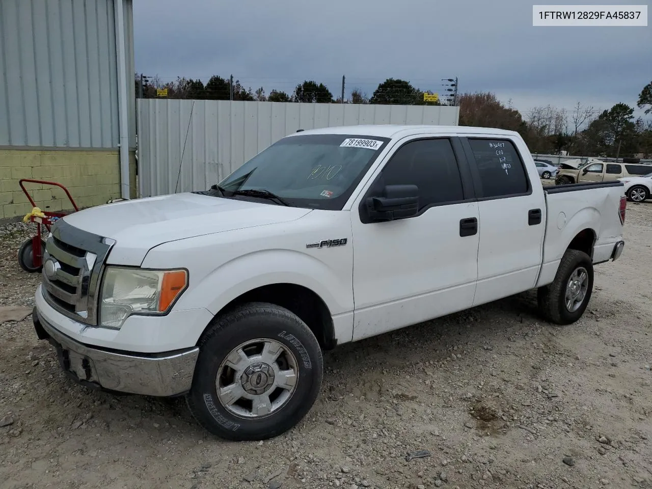 2009 Ford F150 Supercrew VIN: 1FTRW12829FA45837 Lot: 78199903