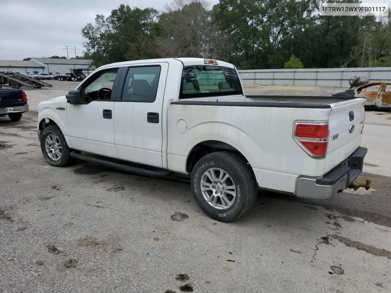 2009 Ford F150 Supercrew VIN: 1FTRW12WX9FB01117 Lot: 79959704