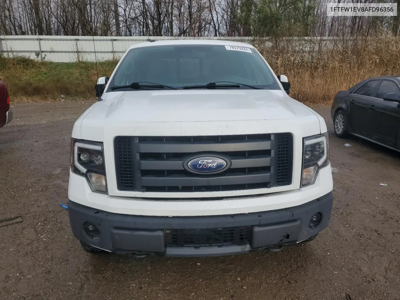 2010 Ford F150 Supercrew VIN: 1FTFW1EV8AFD96356 Lot: 78979284