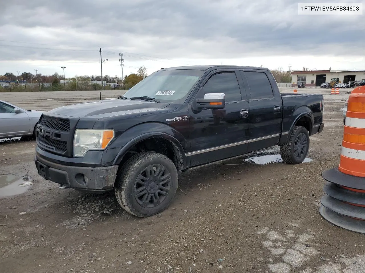 2010 Ford F150 Supercrew VIN: 1FTFW1EV5AFB34603 Lot: 79560894