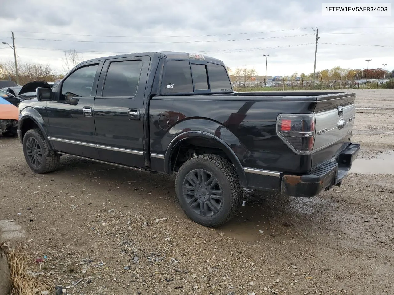 2010 Ford F150 Supercrew VIN: 1FTFW1EV5AFB34603 Lot: 79560894