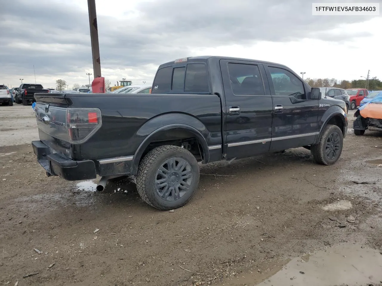 2010 Ford F150 Supercrew VIN: 1FTFW1EV5AFB34603 Lot: 79560894