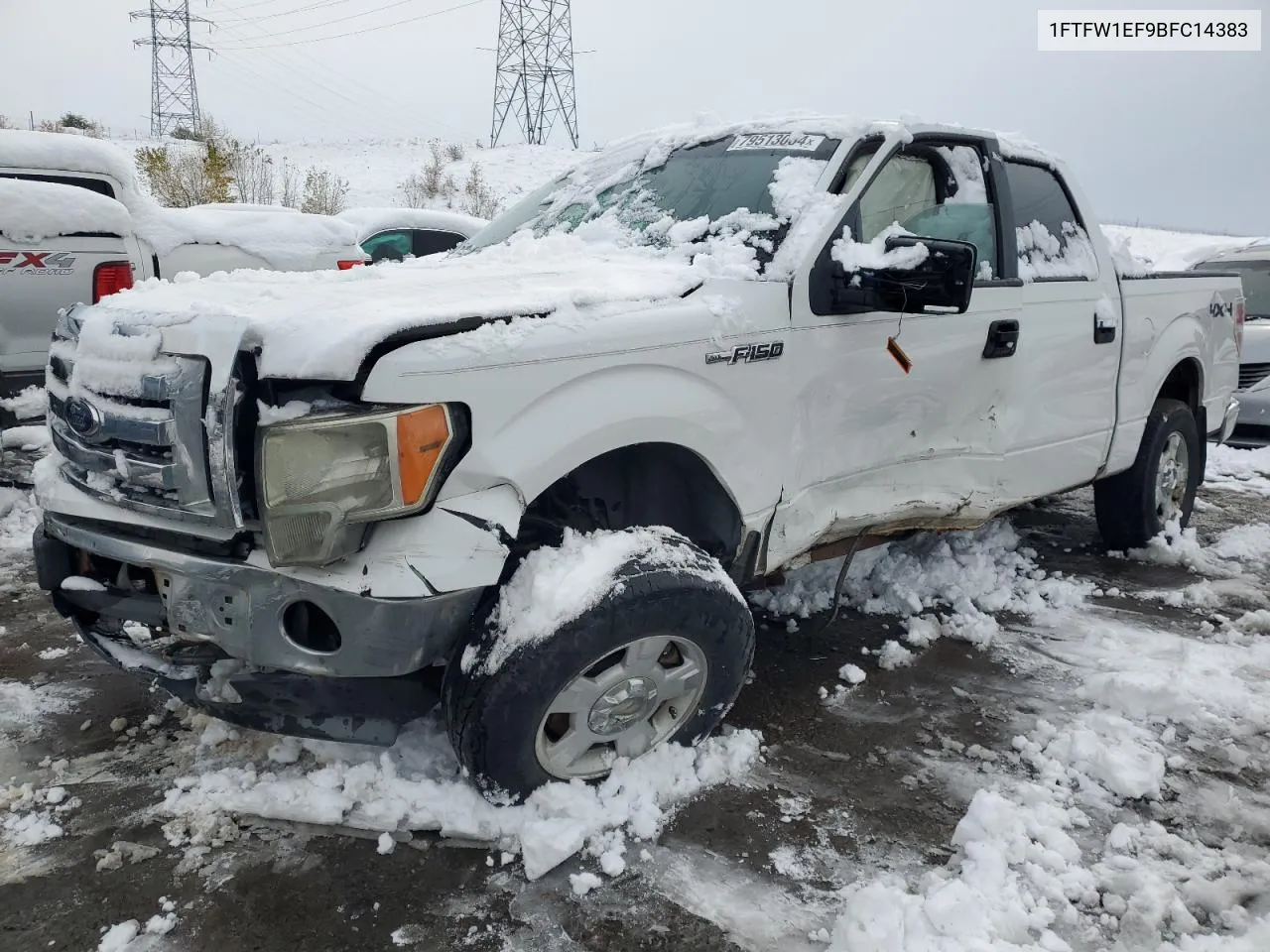 2011 Ford F150 Supercrew VIN: 1FTFW1EF9BFC14383 Lot: 79513064