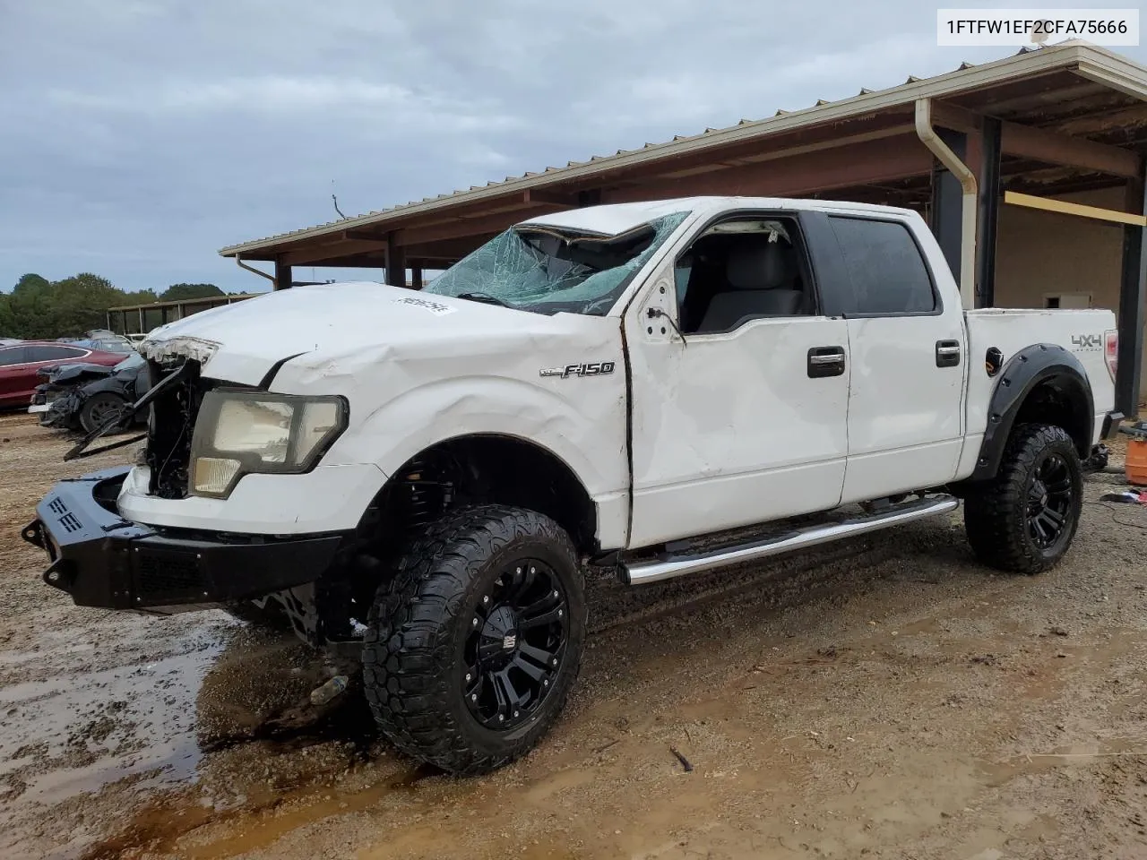 2012 Ford F150 Supercrew VIN: 1FTFW1EF2CFA75666 Lot: 73826754