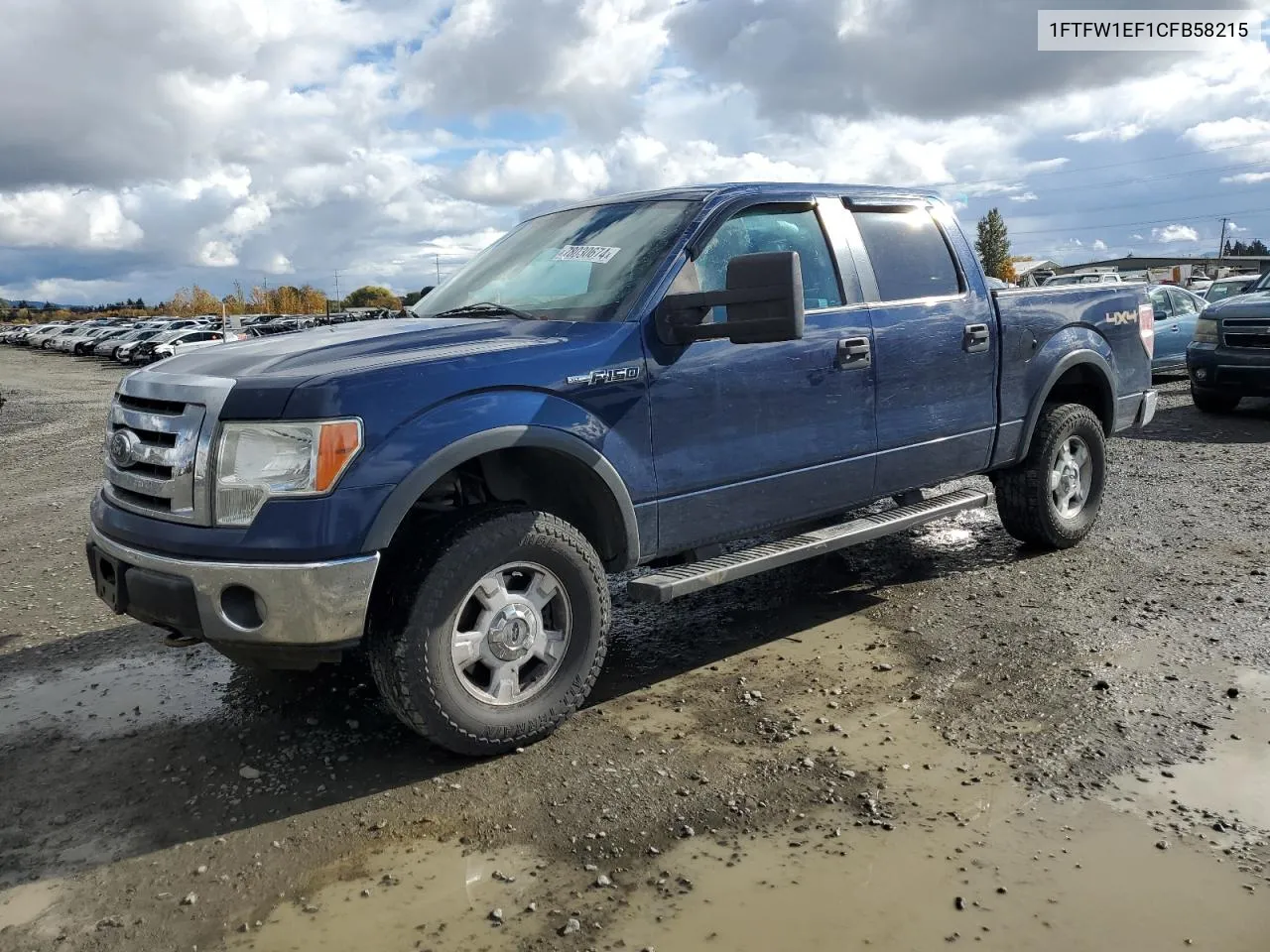 2012 Ford F150 Supercrew VIN: 1FTFW1EF1CFB58215 Lot: 78030674