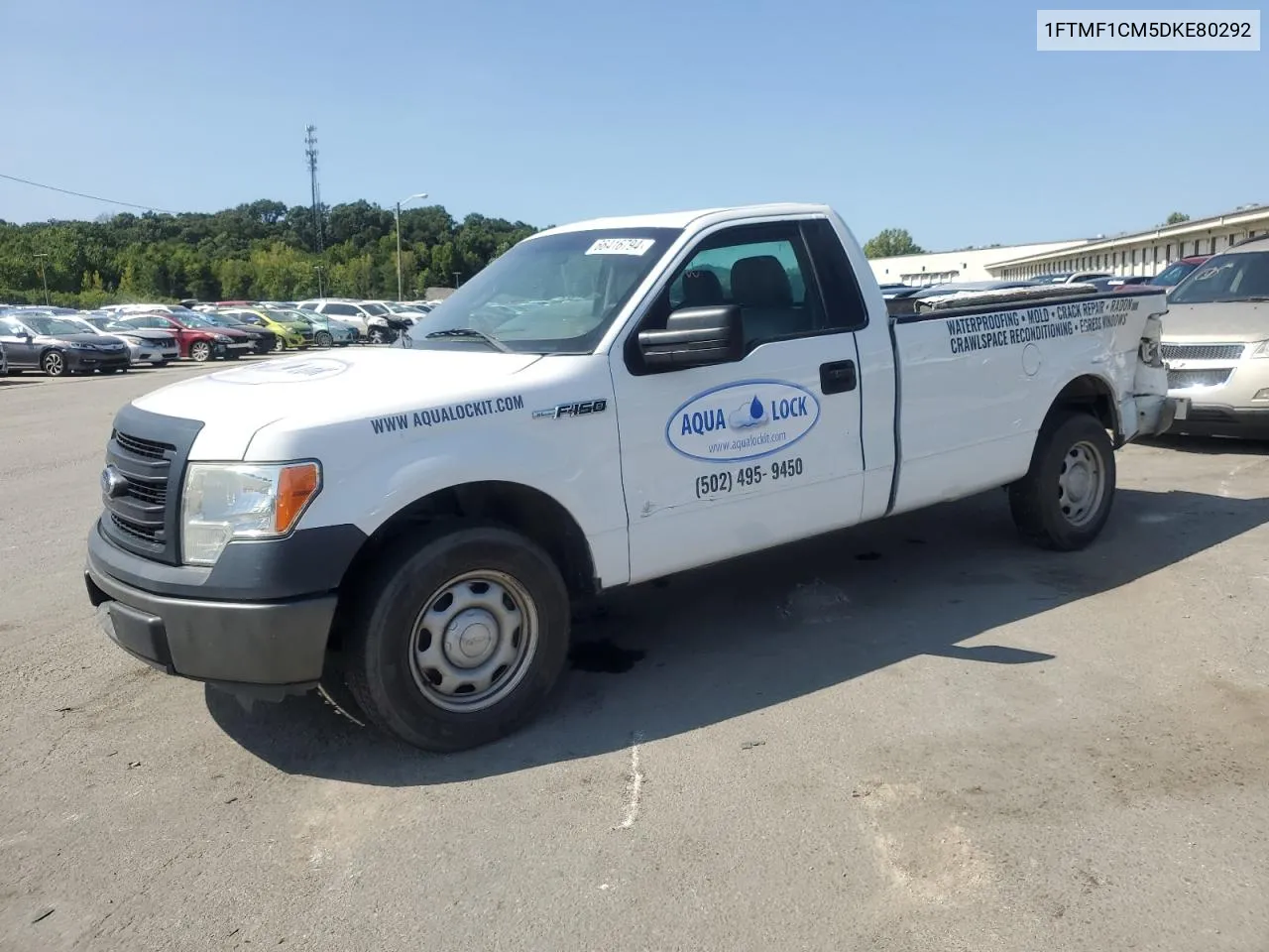 2013 Ford F150 VIN: 1FTMF1CM5DKE80292 Lot: 66416794