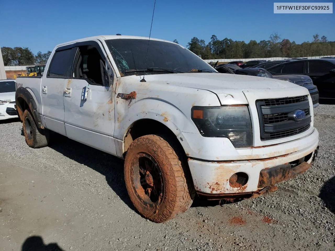 2013 Ford F150 Supercrew VIN: 1FTFW1EF3DFC93925 Lot: 74492024