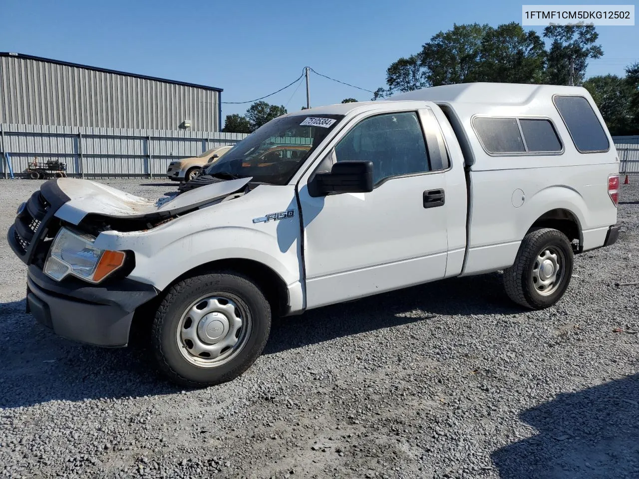 2013 Ford F150 VIN: 1FTMF1CM5DKG12502 Lot: 75105384