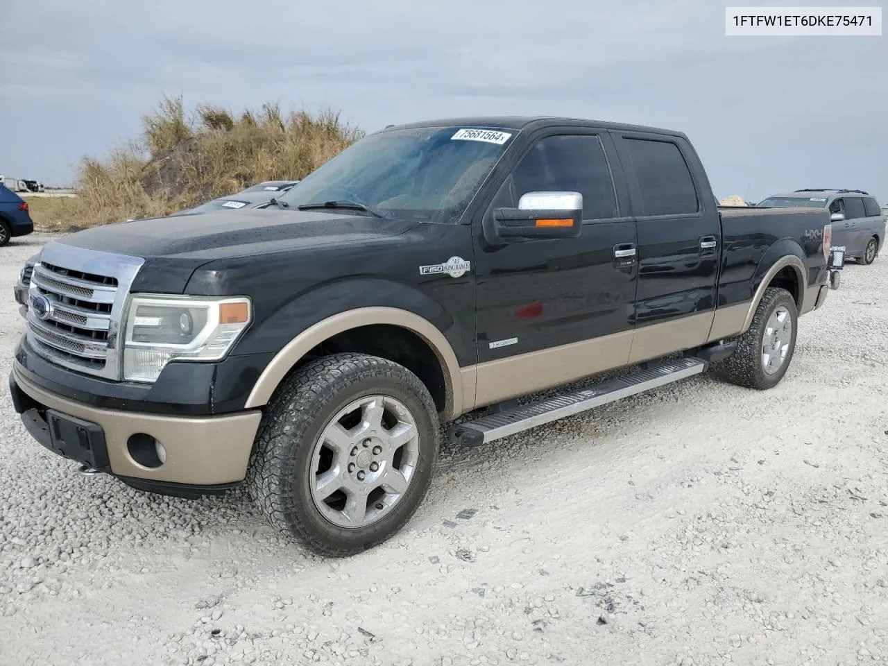 2013 Ford F150 Supercrew VIN: 1FTFW1ET6DKE75471 Lot: 75681564