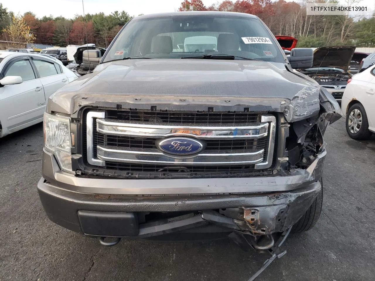 2013 Ford F150 Super Cab VIN: 1FTFX1EF4DKE13901 Lot: 79012954