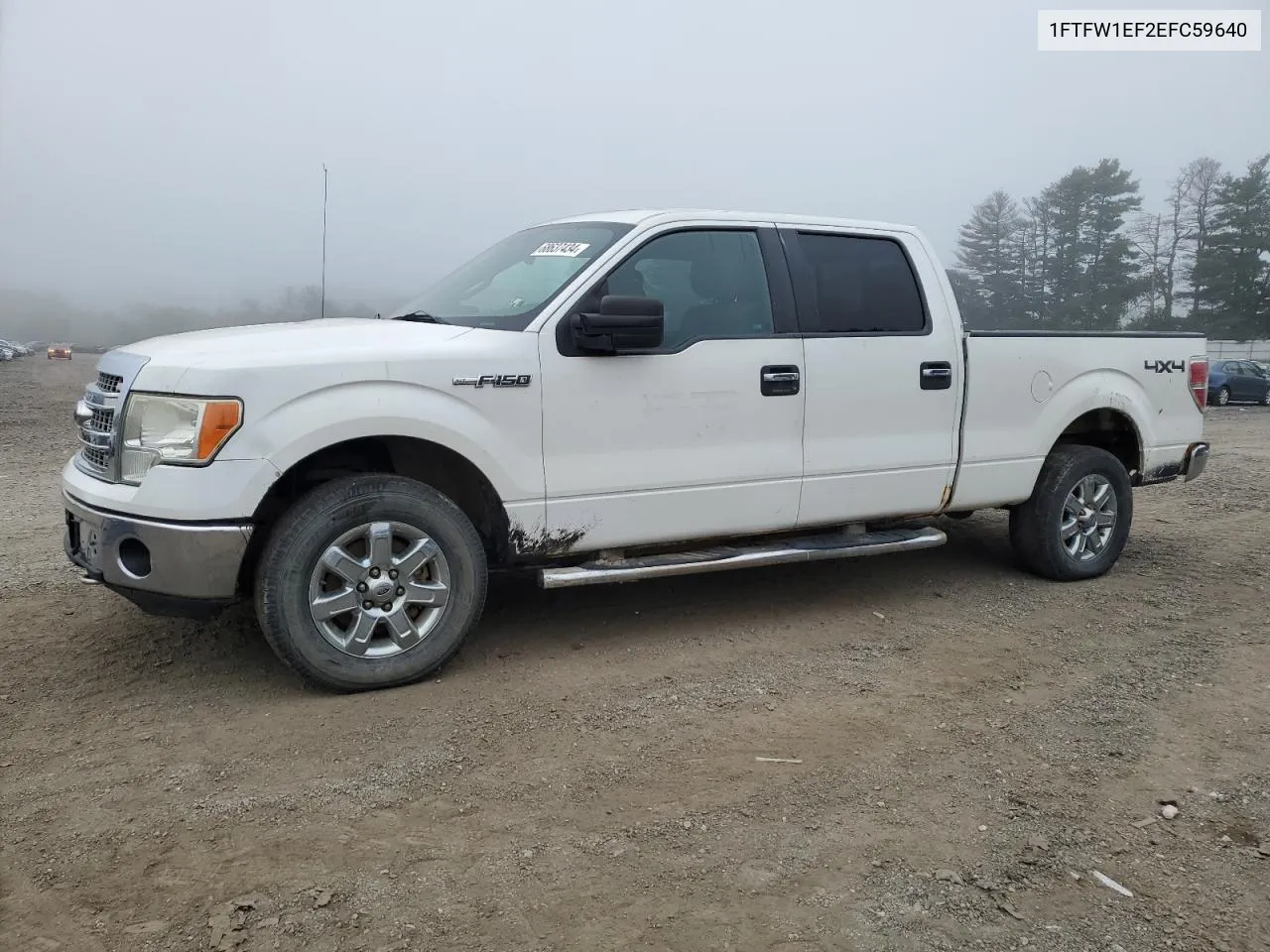 1FTFW1EF2EFC59640 2014 Ford F150 Supercrew