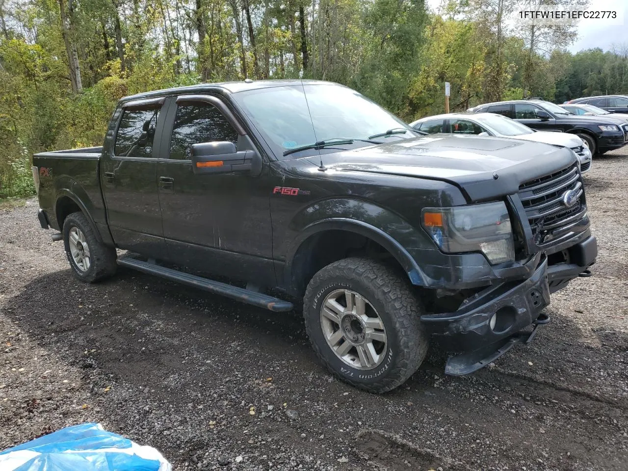 2014 Ford F150 Supercrew VIN: 1FTFW1EF1EFC22773 Lot: 73280324