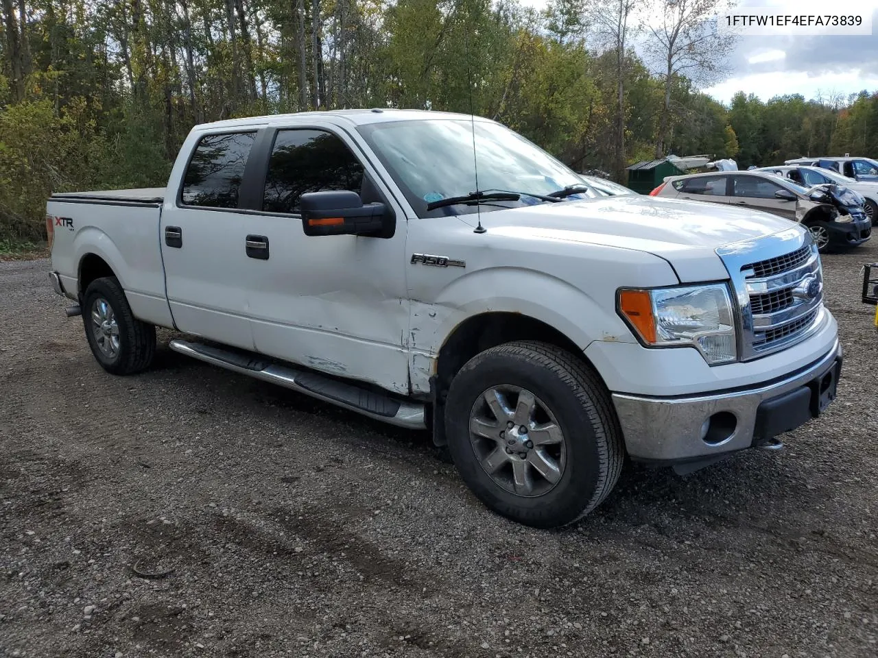 2014 Ford F150 Supercrew VIN: 1FTFW1EF4EFA73839 Lot: 74456104