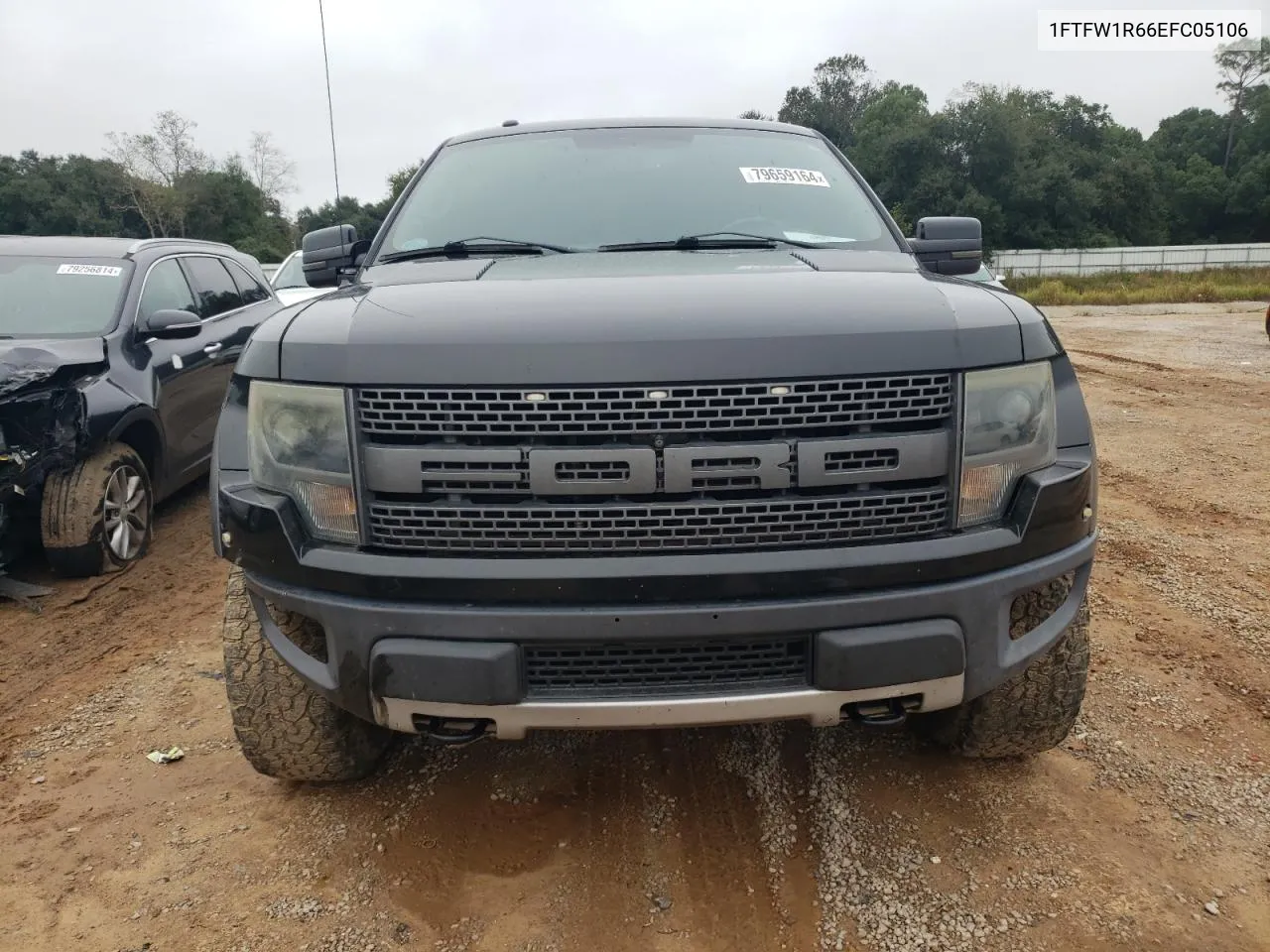 2014 Ford F150 Svt Raptor VIN: 1FTFW1R66EFC05106 Lot: 79659164