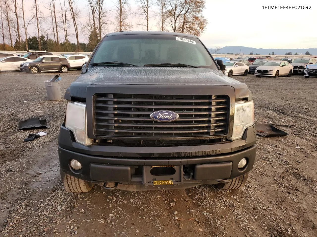 2014 Ford F150 VIN: 1FTMF1EF4EFC21592 Lot: 79848644