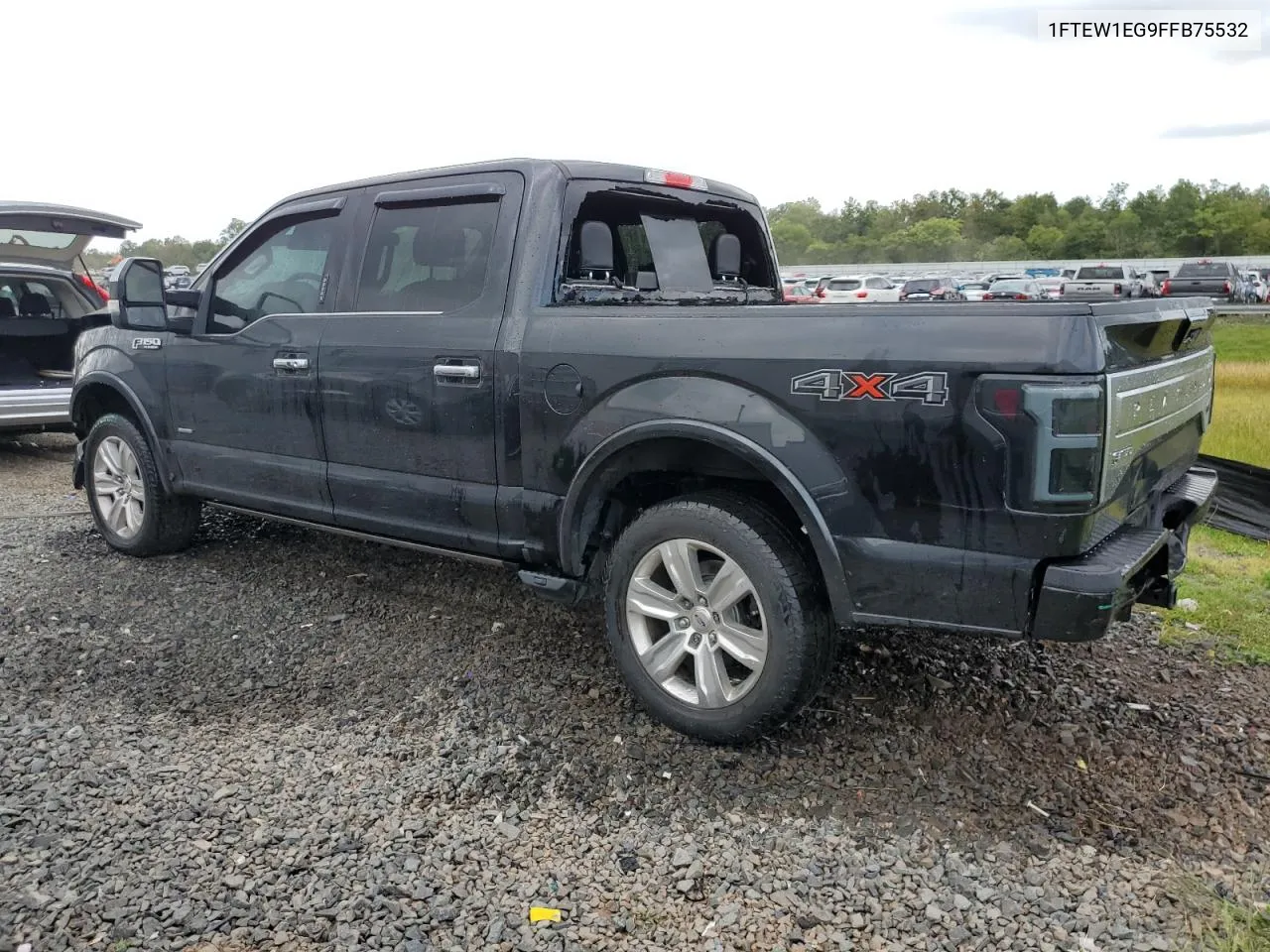 1FTEW1EG9FFB75532 2015 Ford F150 Supercrew