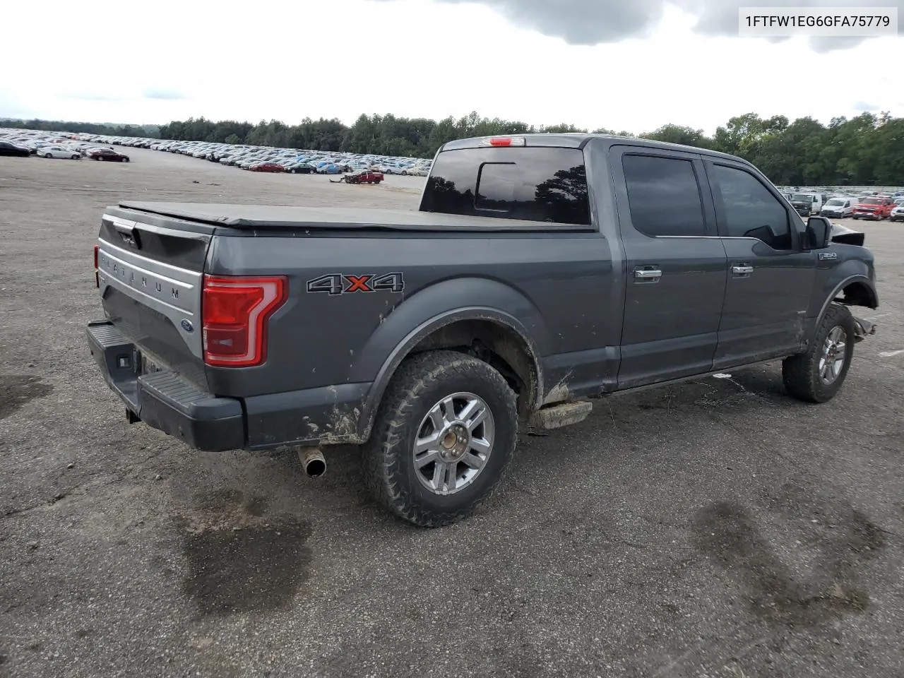 2016 Ford F150 Supercrew VIN: 1FTFW1EG6GFA75779 Lot: 71754454