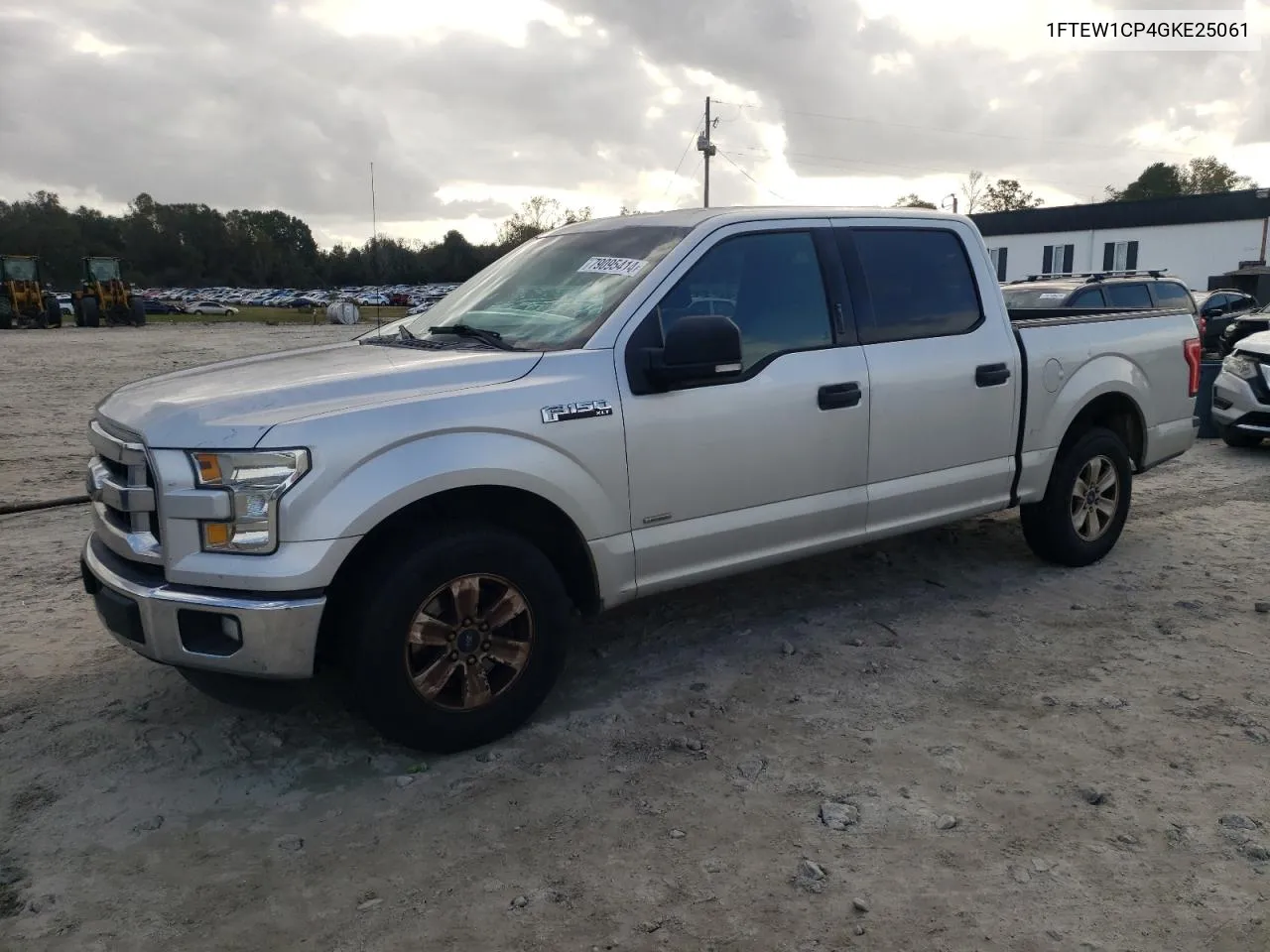 2016 Ford F150 Supercrew VIN: 1FTEW1CP4GKE25061 Lot: 79095414