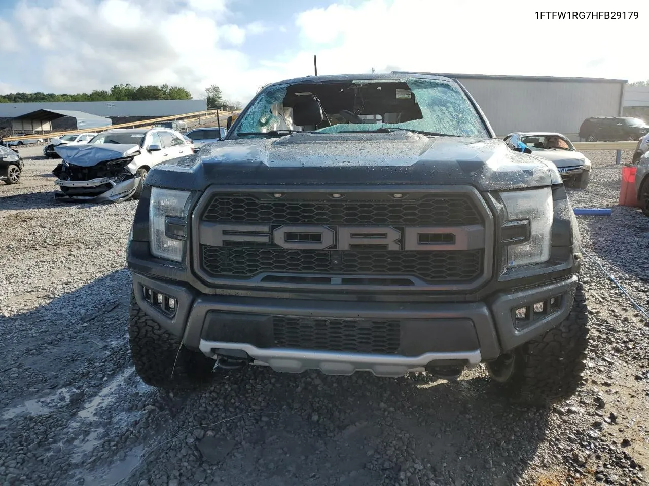 2017 Ford F150 Raptor VIN: 1FTFW1RG7HFB29179 Lot: 73138564