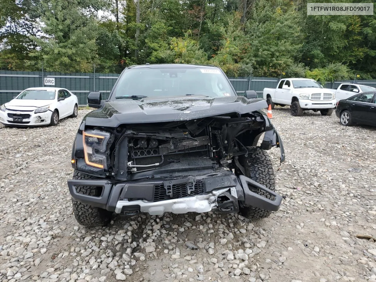 2018 Ford F150 Raptor VIN: 1FTFW1RG8JFD09017 Lot: 72277994