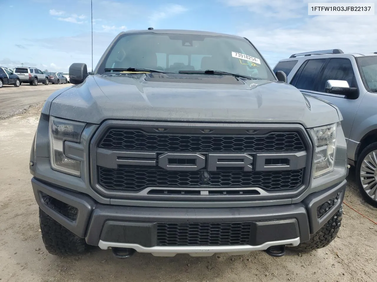 2018 Ford F150 Raptor VIN: 1FTFW1RG3JFB22137 Lot: 73918254