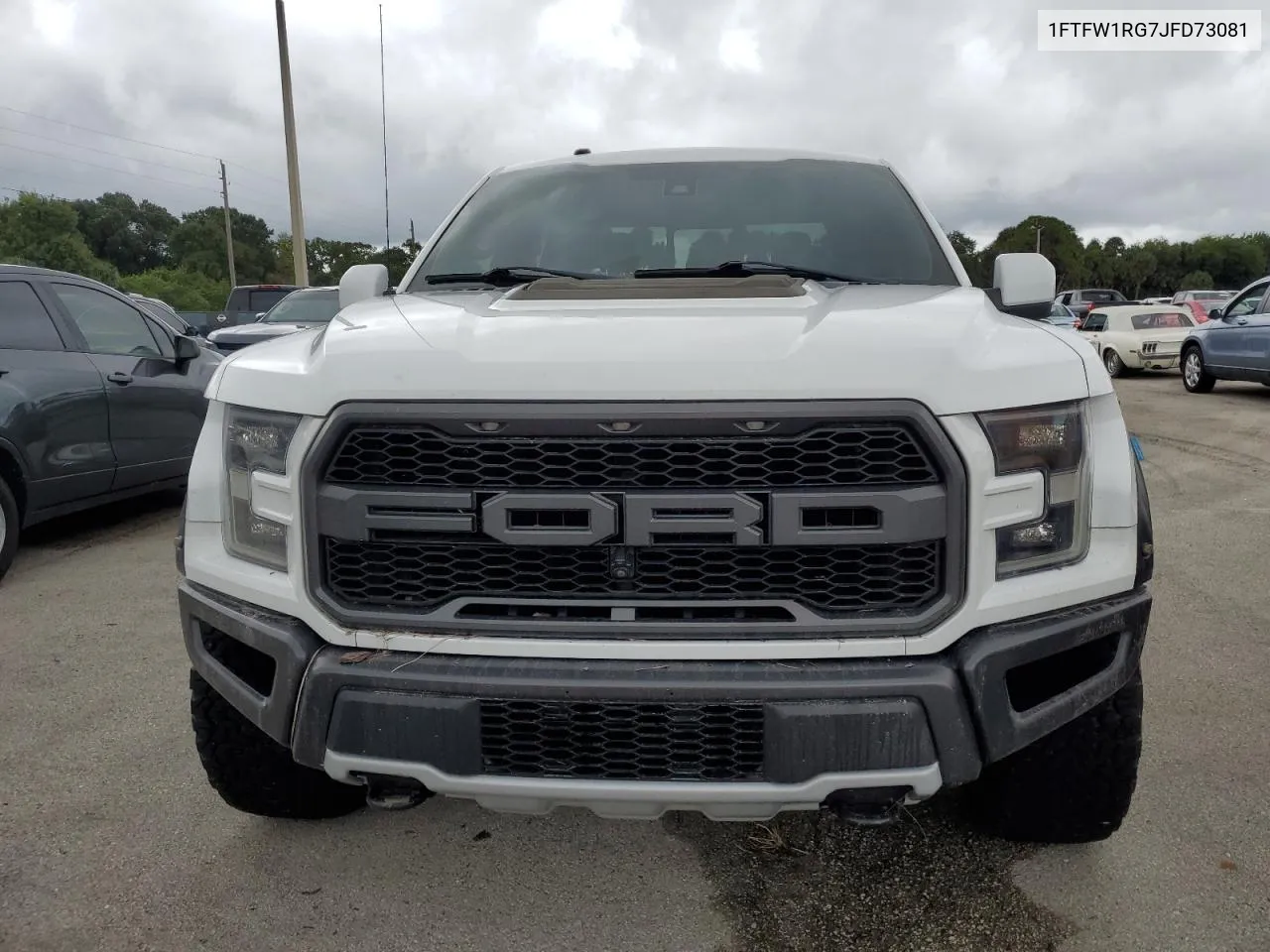 2018 Ford F150 Raptor VIN: 1FTFW1RG7JFD73081 Lot: 74363834