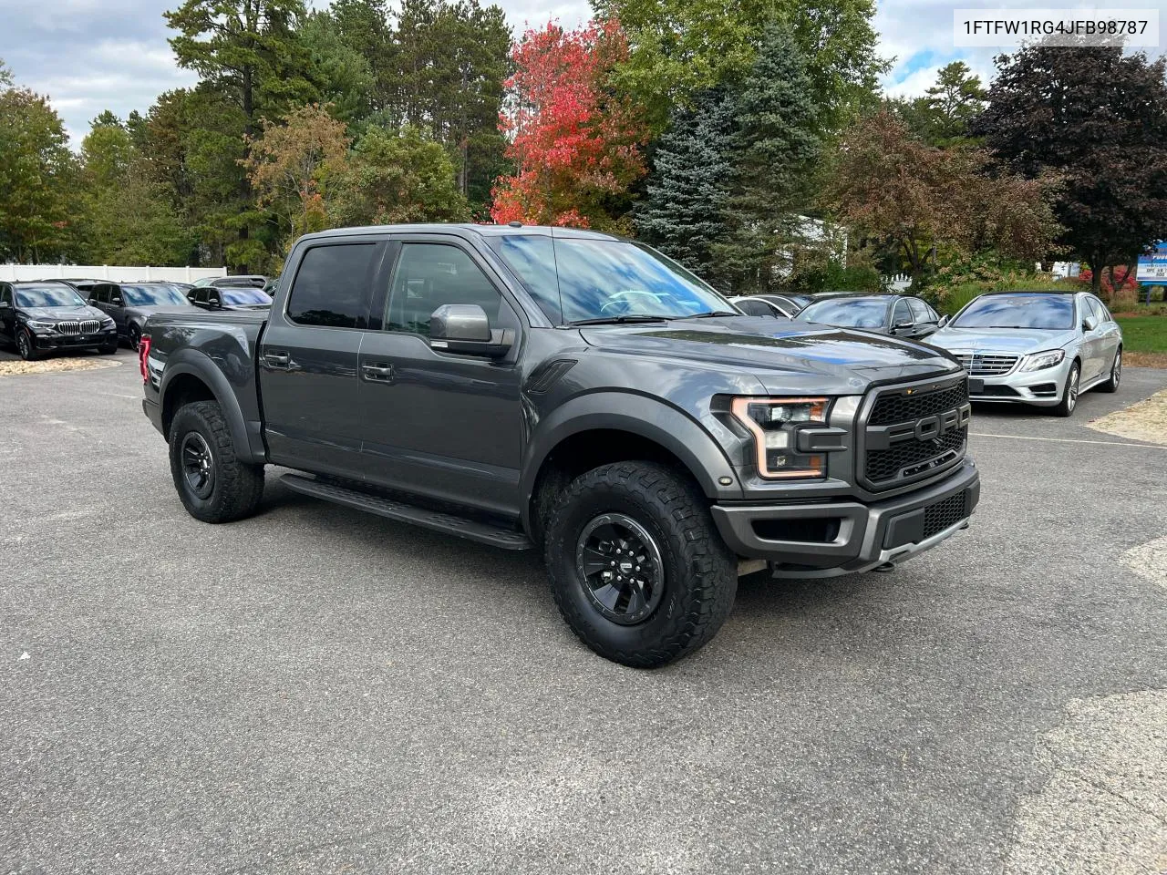 2018 Ford F150 Raptor VIN: 1FTFW1RG4JFB98787 Lot: 74596894