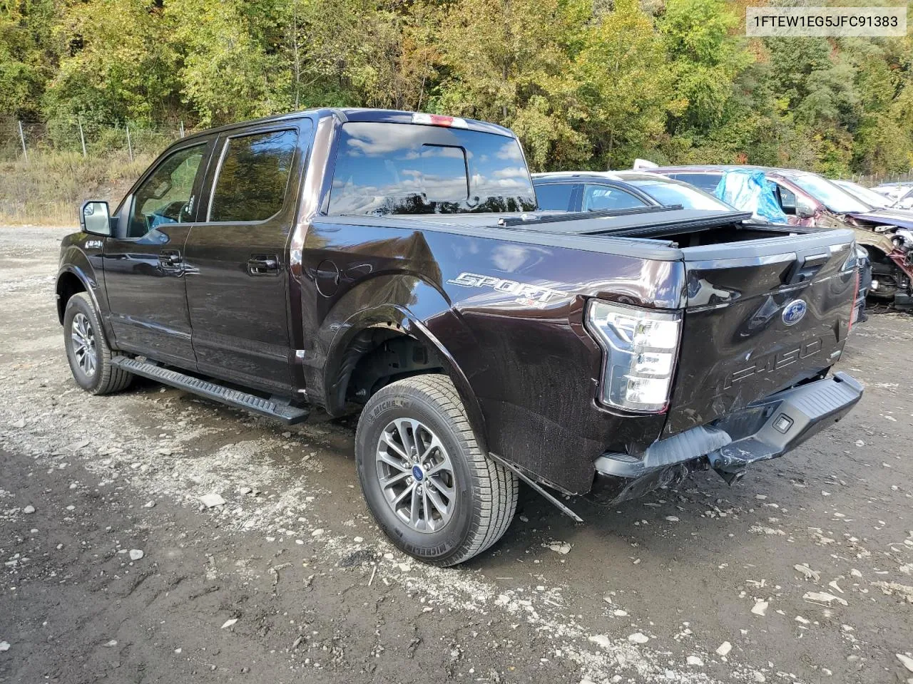 2018 Ford F150 Supercrew VIN: 1FTEW1EG5JFC91383 Lot: 76064914