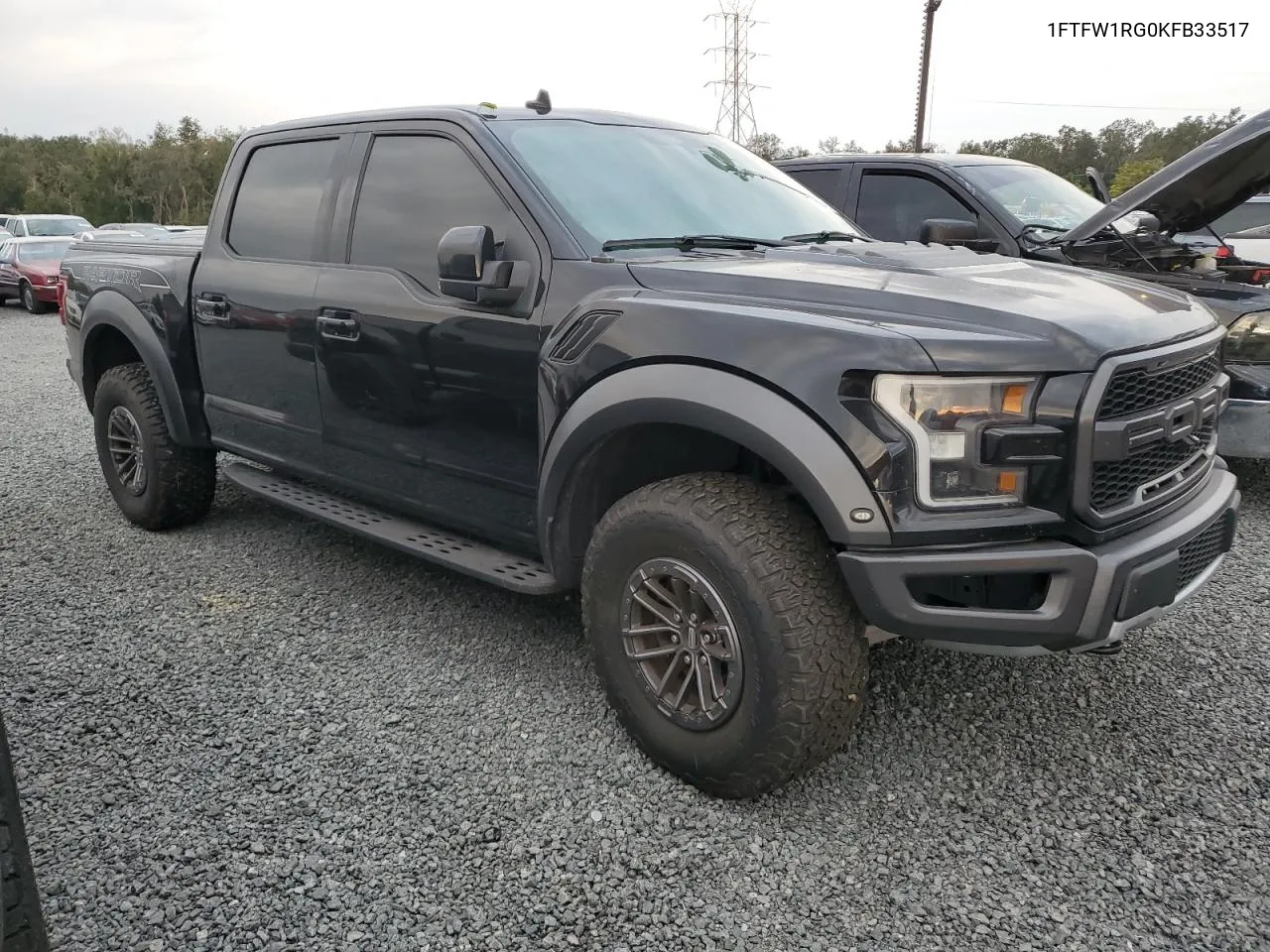 2019 Ford F150 Raptor VIN: 1FTFW1RG0KFB33517 Lot: 76244514