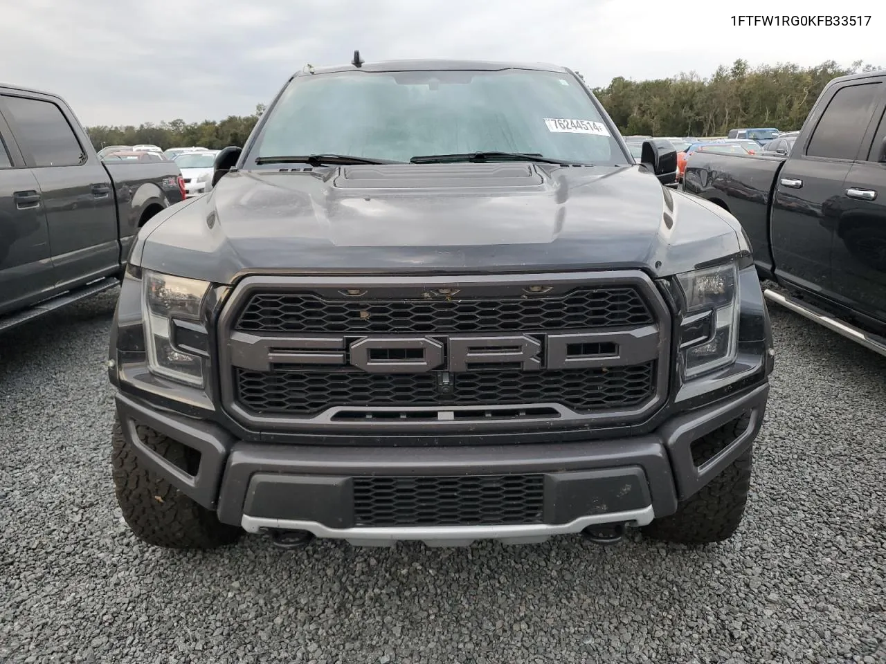 2019 Ford F150 Raptor VIN: 1FTFW1RG0KFB33517 Lot: 76244514