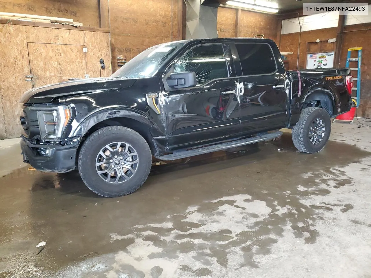 2022 Ford F150 Supercrew VIN: 1FTEW1E87NFA22493 Lot: 72384224