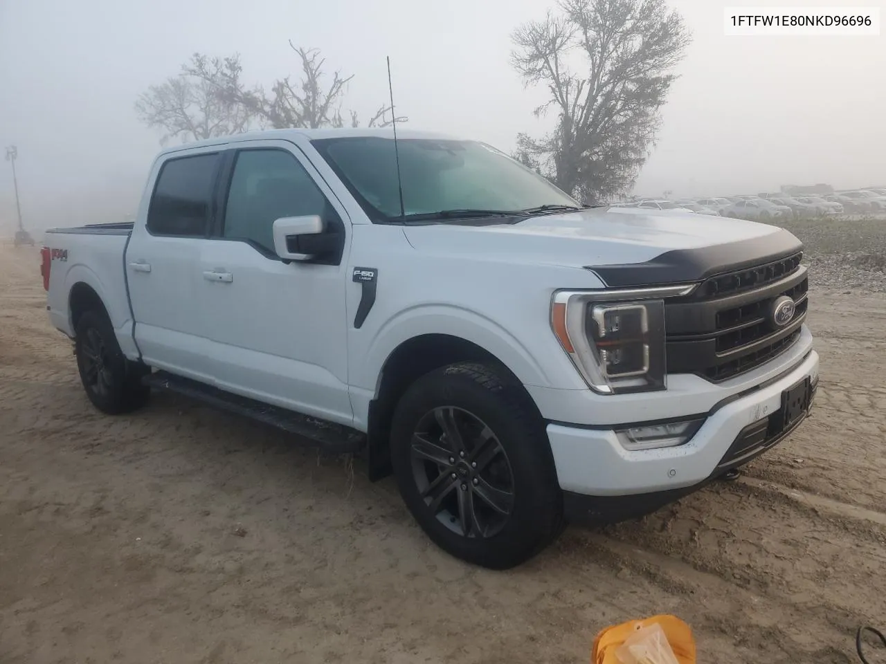 2022 Ford F150 Supercrew VIN: 1FTFW1E80NKD96696 Lot: 75001744