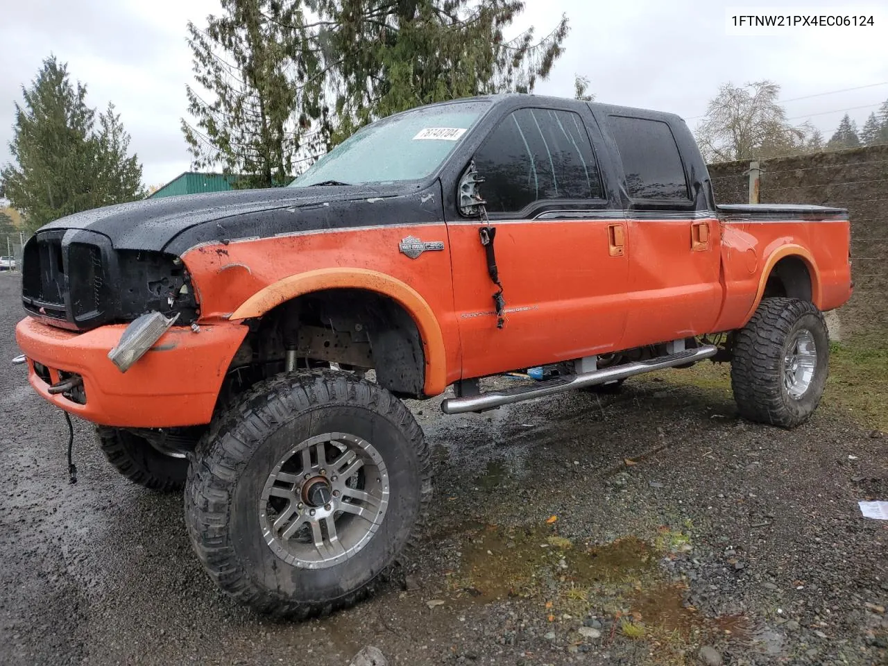 2004 Ford F250 Super Duty VIN: 1FTNW21PX4EC06124 Lot: 78748704