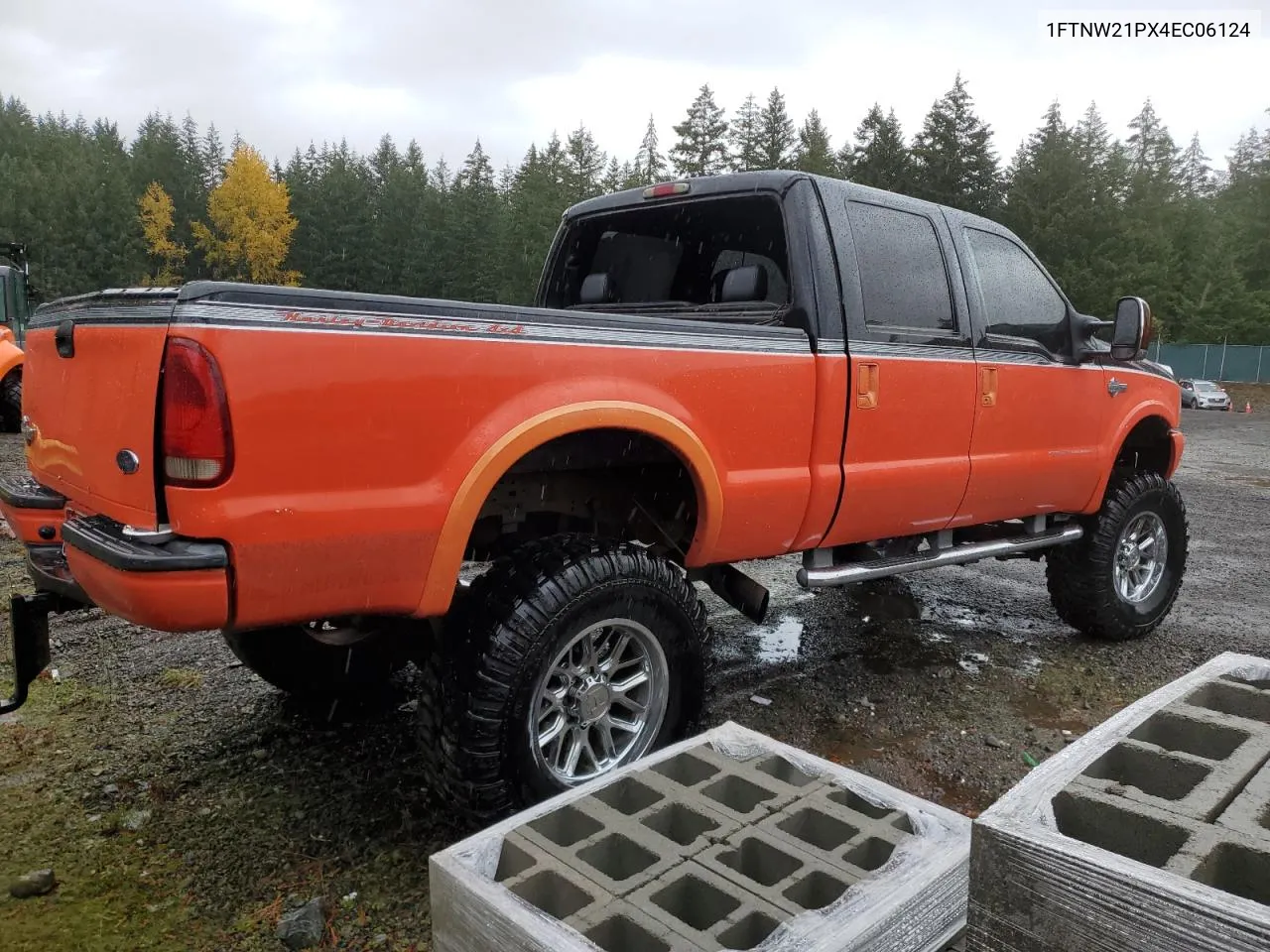 2004 Ford F250 Super Duty VIN: 1FTNW21PX4EC06124 Lot: 78748704