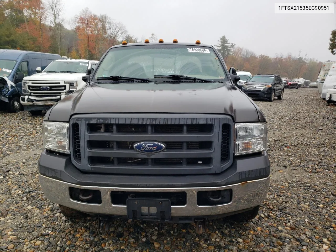 2005 Ford F250 Super Duty VIN: 1FTSX21535EC90951 Lot: 75930604